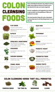 Colon Cleanses to Lose Weight: Do They Really Work? – Healthy Wealthy
